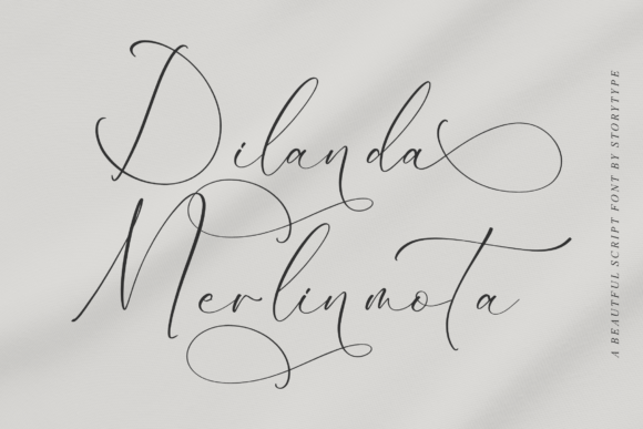 Dilanda Merlinmota: A Font Built for Campaign Clarity