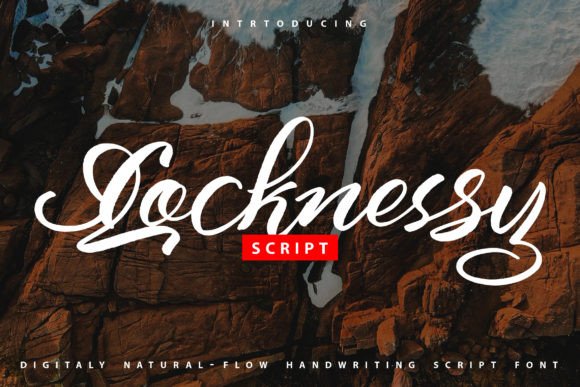 Locknessy: A Beautiful Script Font for Modern Web Design